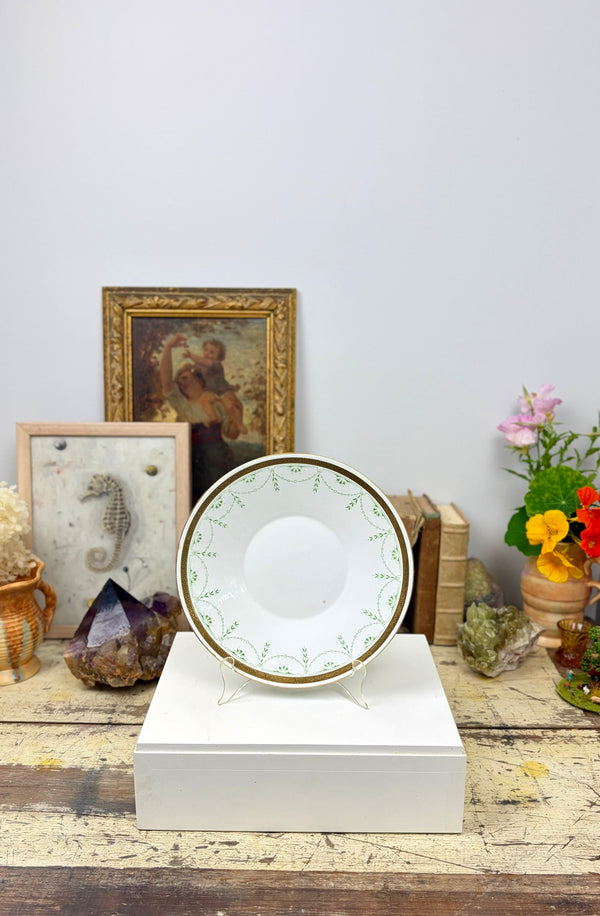 Vintage Shelley Bone China & Collectibles – Jacqui Fink