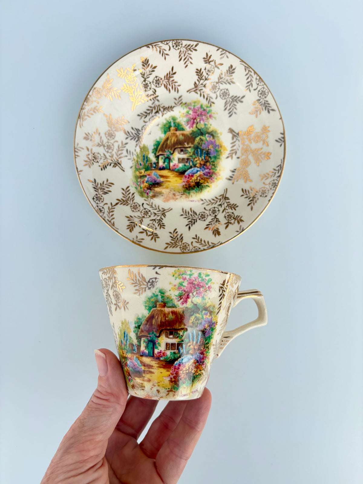 Vintage Chintz China — Rare English Floral Ceramics | Jacqui Fink